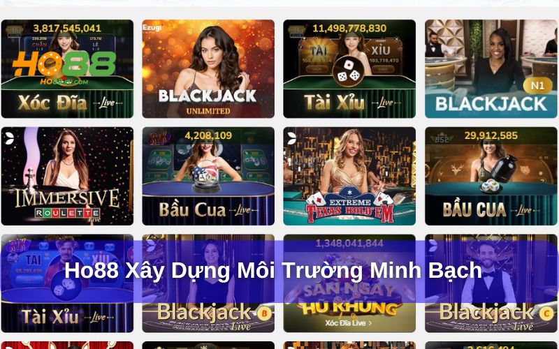Ho88 xây dựng môi trường cá cược minh bạch