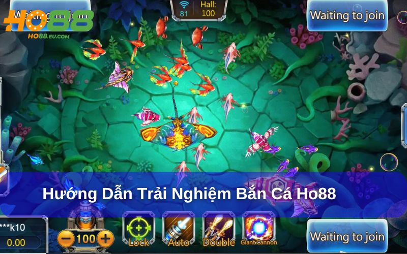 Trải nghiệm Bắc Cá Ho88 dễ dàng chỉ với vài thao tác