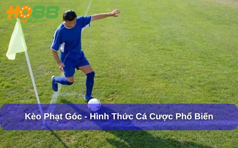 Kèo Phạt Góc là một hình thức cá cược bóng đá phổ biến