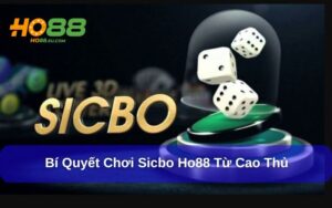 Bí Quyết Thắng Lớn Khi Chơi Sicbo Ho88 Từ Cao Thủ