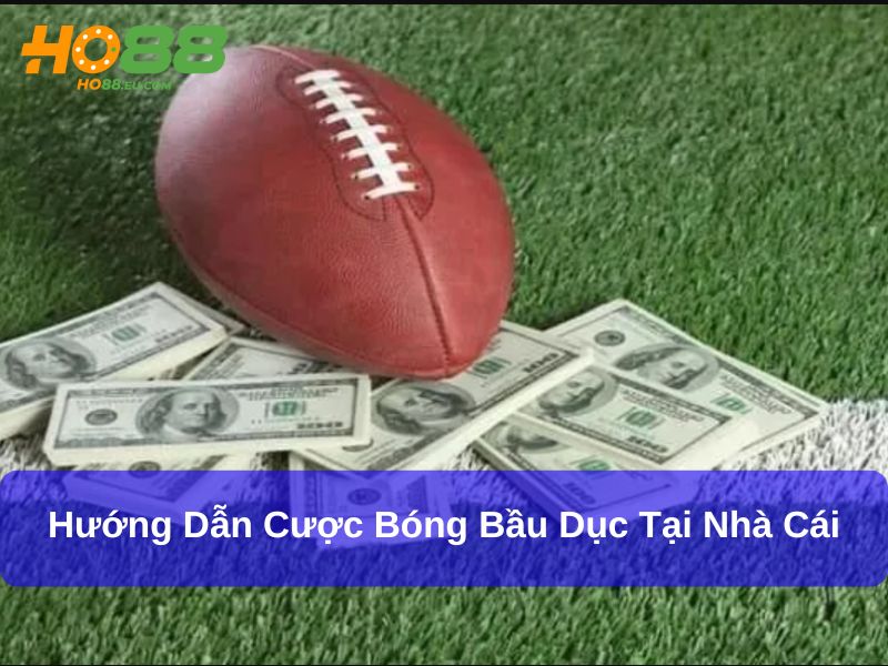 Hướng dẫn cược bóng bầu dục tại nhà cái