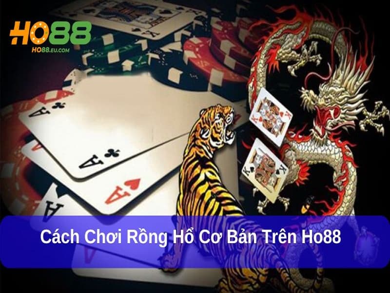 Bỏ túi chiến thuật rồng hổ Ho88 hiệu quả