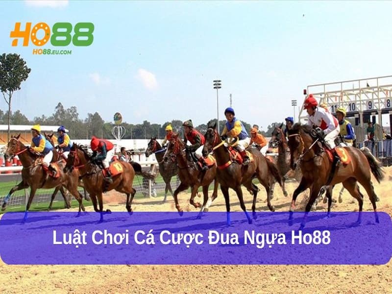Cá cược đua ngựa Ho88 có luật chơi dễ hiểu