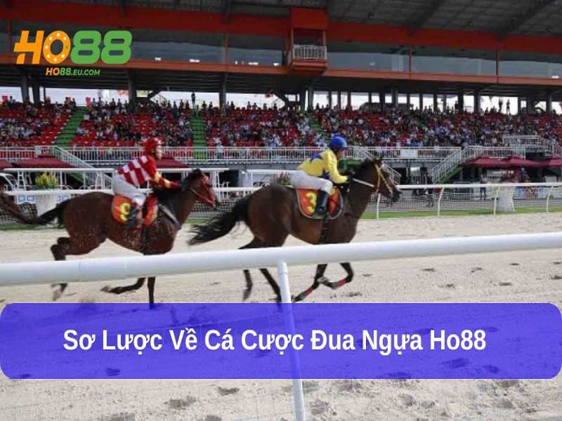Cá cược đua ngựa Ho88 uy tín