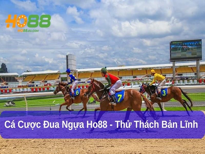 Cá Cược Đua Ngựa Ho88 - Thử Thách Bản Lĩnh Trên Đường Đua