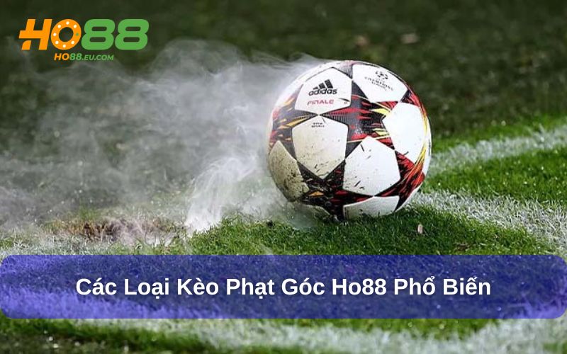 Các loại kèo phạt góc Ho88 phổ biến