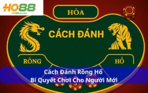 Cách Đánh Rồng Hổ - Bí Quyết Chơi Cho Người Mới