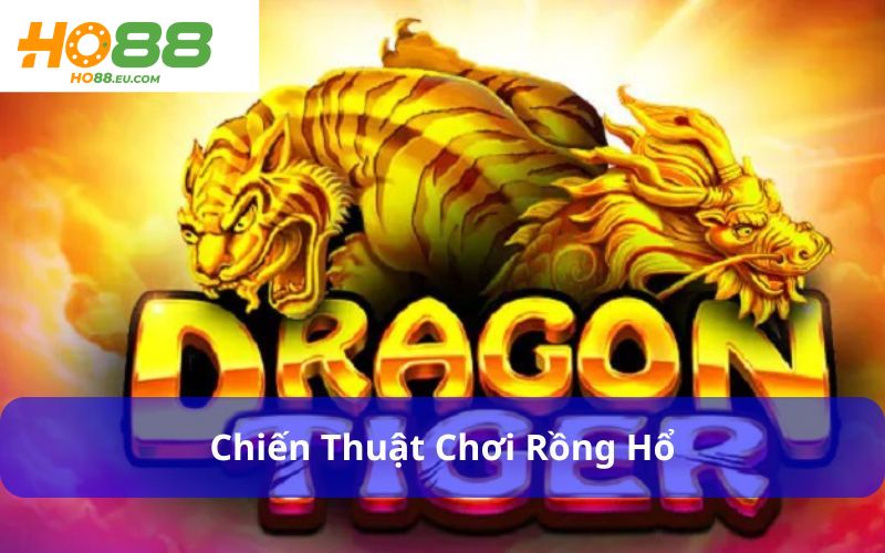 Chiến thuật chơi Rồng Hổ