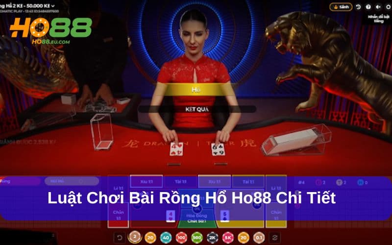 Hướng dẫn cách chơi rồng hổ Ho88 đúng