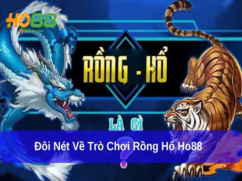 Rồng hổ Ho88 kịch tính và hấp dẫn