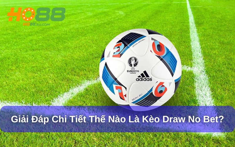 Thế Nào Là Kèo Draw No Bet? Giải Đáp Cùng Chuyên Gia Ho88 2 Giải thích thế nào là kèo draw no bet