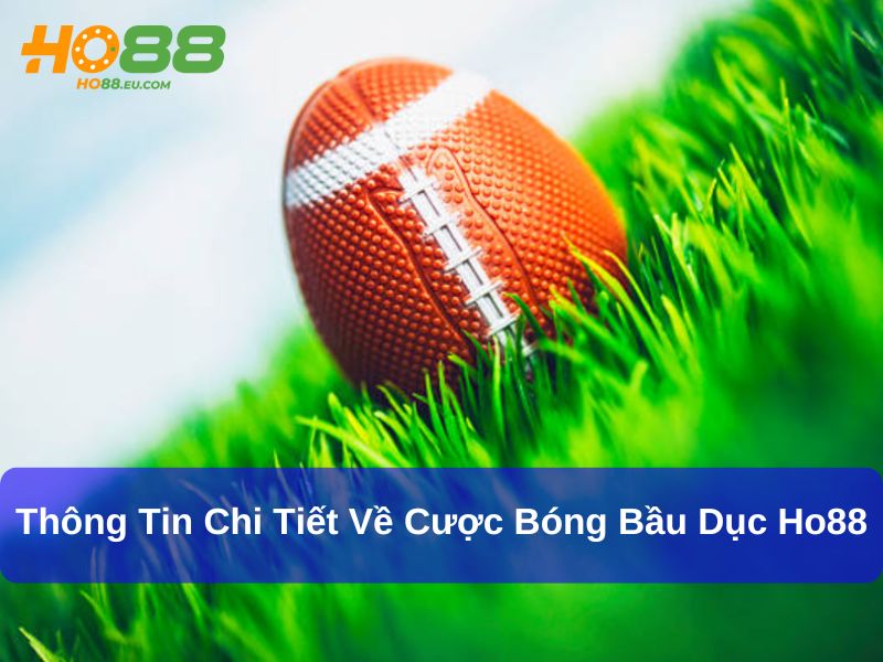 Thông tin chi tiết về cược bóng bầu dục Ho88