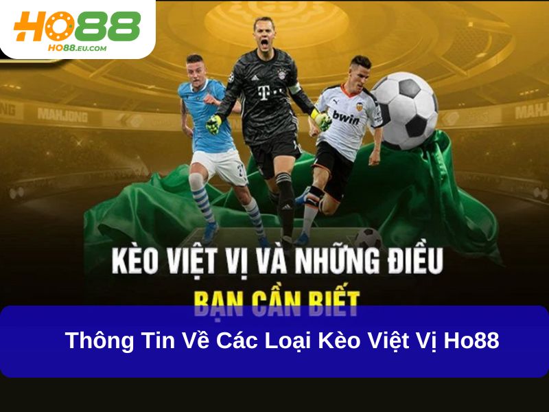 Thông tin về các loại kèo Việt Vị Ho88