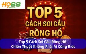 Top 5 Cách Soi Cầu Rồng Hổ - Chiến Thuật Không Phải Ai Cũng Biết