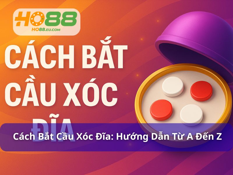 Cách bắt cầu xóc đĩa: Hướng dẫn từ A đến Z cho người mới