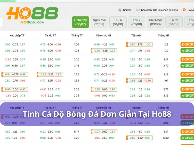 Ho88 hỗ trợ soi kèo, tính cá độ bóng đá hiệu quả