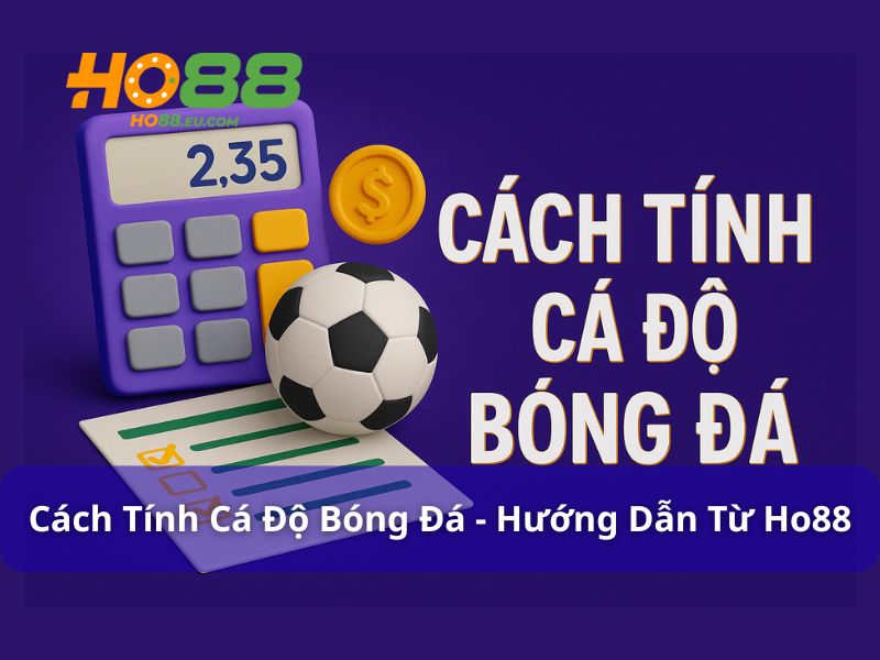 Cách Tính Cá Độ Bóng Đá - Hướng Dẫn Chi Tiết Từ Ho88