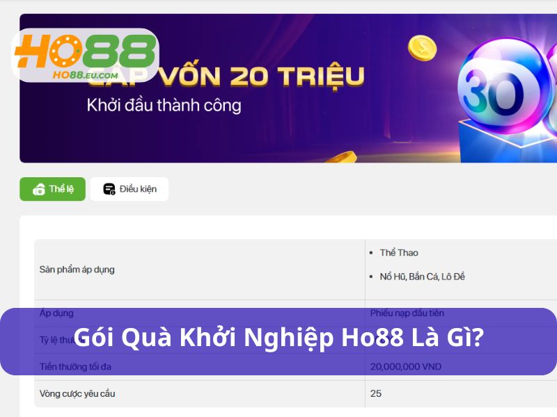 Gói quà khởi nghiệp Ho88 hỗ trợ người chơi cá cược
