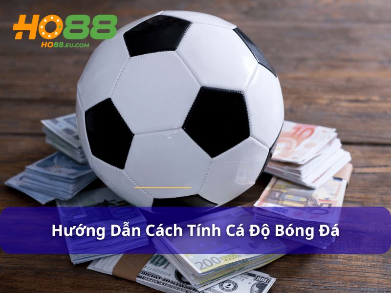 Hướng dẫn cách tính cá độ bóng đá hiệu quả nhất