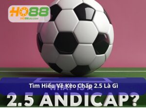 Kèo Chấp 2.5 Là Gì? Cách Đọc Kèo Chính Xác Và Ví Dụ Minh Hoạ