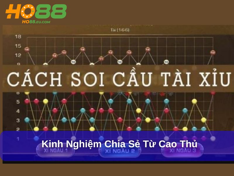 Kinh nghiệm chia sẻ từ cao thủ
