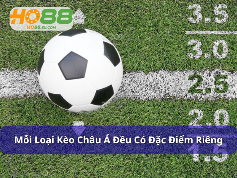 Mỗi loại kèo châu Á đều có đặc điểm riêng biệt