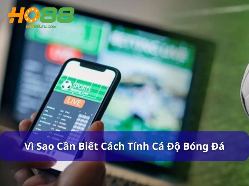 Vì sao người chơi cần biết cách tính cá độ bóng đá
